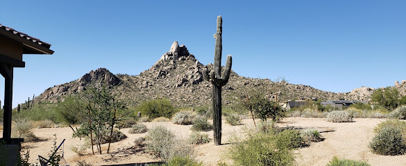Arizona Mobile Notary Services