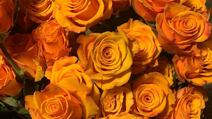 We Got Flowers, Phoenix