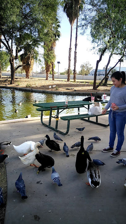 Desert West Lake