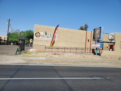Thrift Store-Second Hand Of Salvation, Phoenix